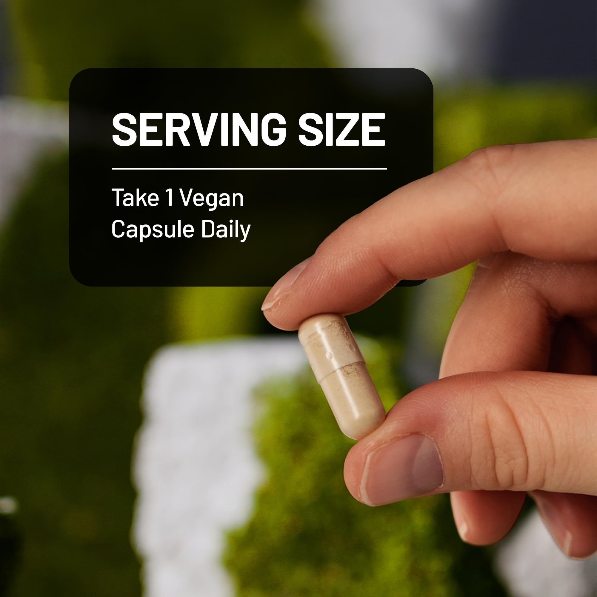 NatureWise green coffee extract capsules on a clean white background signaling modern wellness
