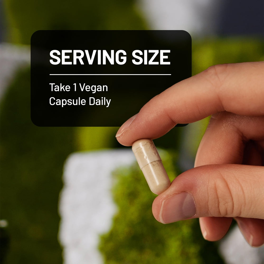 NatureWise green coffee extract capsules on a clean white background signaling modern wellness