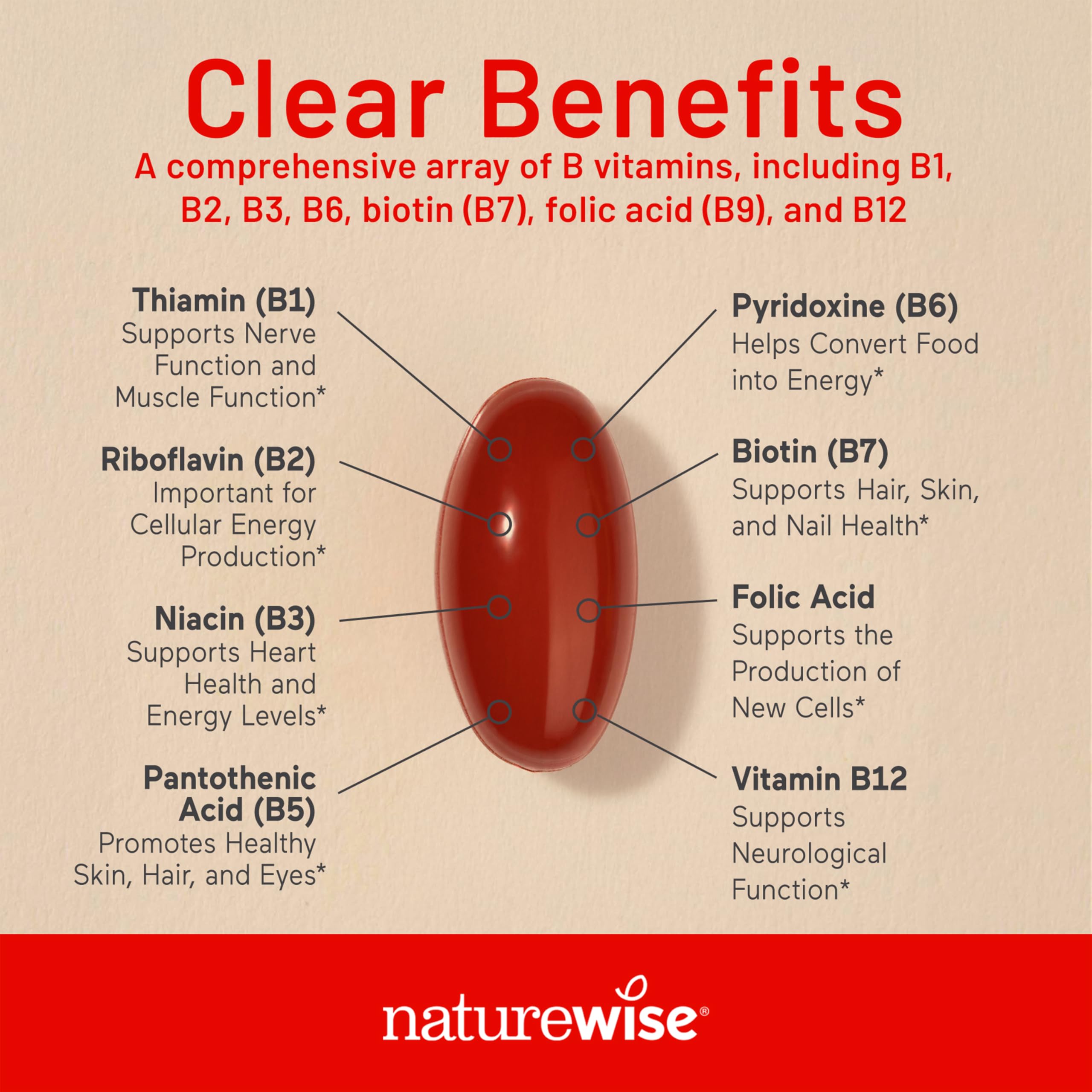 NatureWise Vitamin B Complex softgels in hand for daily energy support.