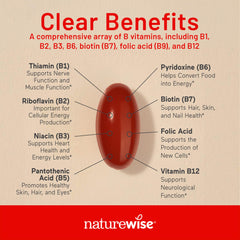 NatureWise Vitamin B Complex softgels in hand for daily energy support.