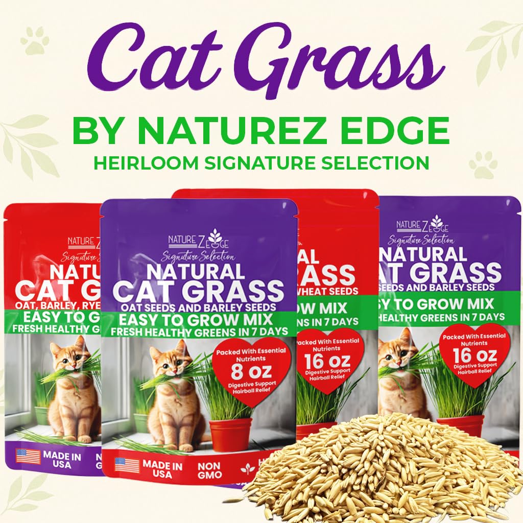 NatureZ Edge kitty greens growing in planter for year-round greens.