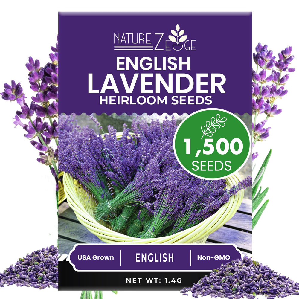 NatureZ Edge lavender seeds pack highlights high germination potential for easy garden growth.