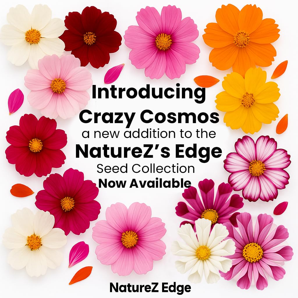NatureZ Edge Wildflower Seed Mix Burst for dense meadow-style blooms.