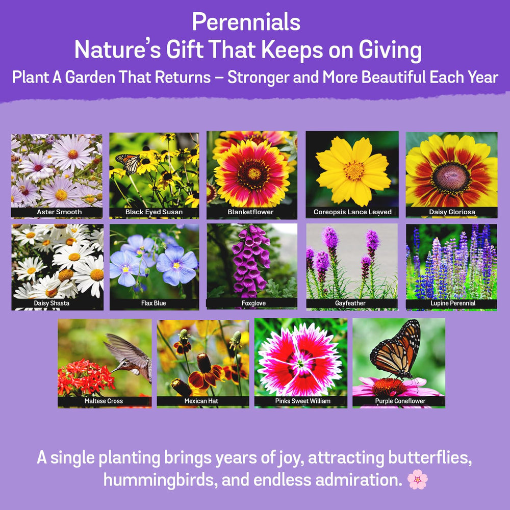 NatureZ Edge Wildflower Seeds Mix garden scene with bees and butterflies