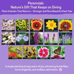 NatureZ Edge Wildflower Seeds Mix attracts pollinators with bright blooms.