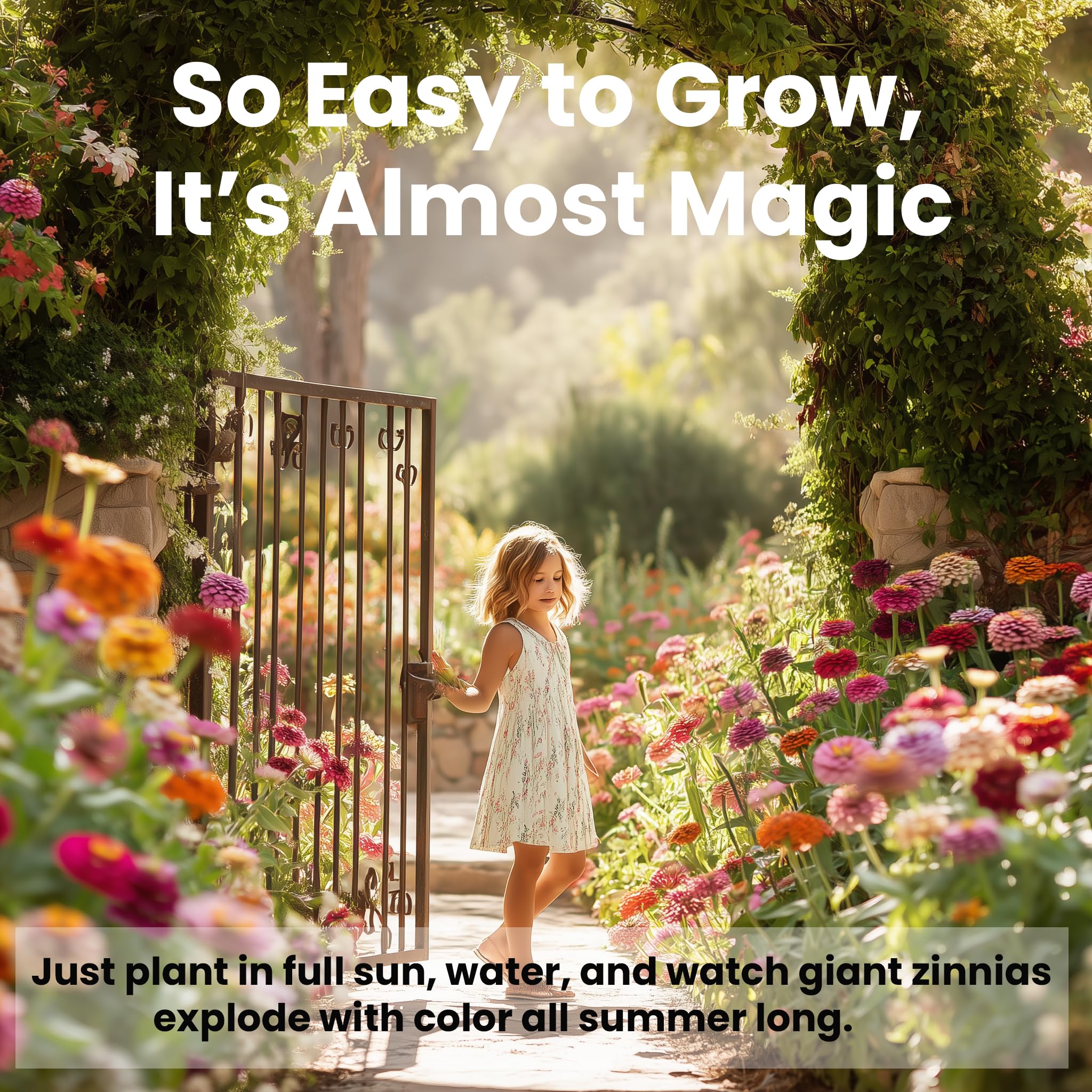 NatureZ Edge Zinnia Seeds easy to grow for beginners and containers.