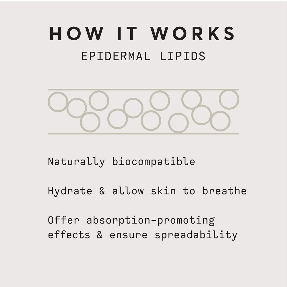 Ingredients highlight Kakadu plum and plant squalane for nourishing feel.