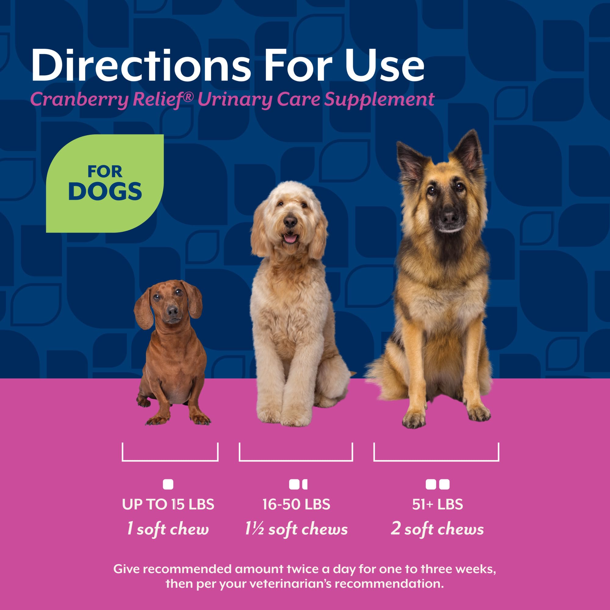 NaturVet Cranberry Relief Plus Echinacea infographic; key ingredients and benefits.