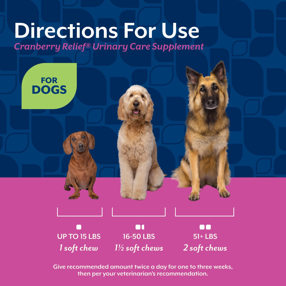 NaturVet Cranberry Relief Plus Echinacea infographic; key ingredients and benefits.