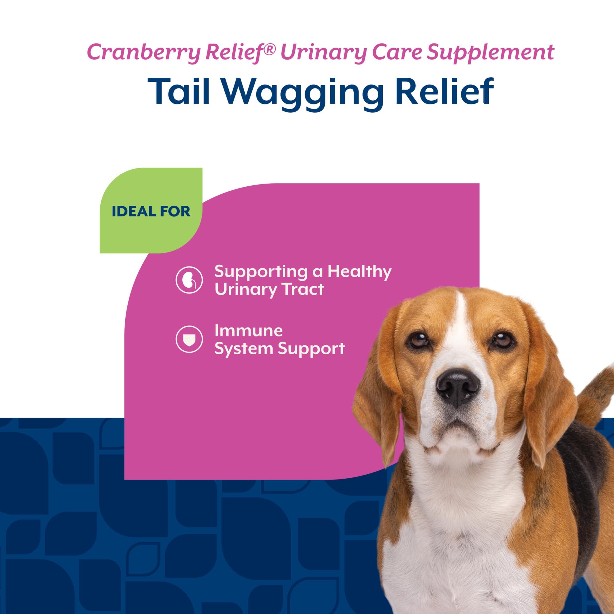NaturVet Cranberry Relief Plus Echinacea label; ingredient details for quality.