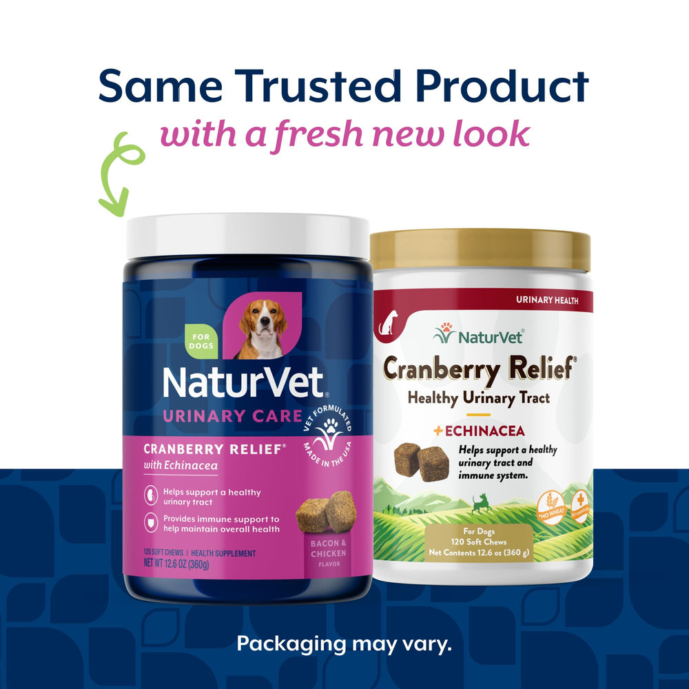 NaturVet Cranberry Relief Plus Echinacea soft chews in bowl; easy daily use.