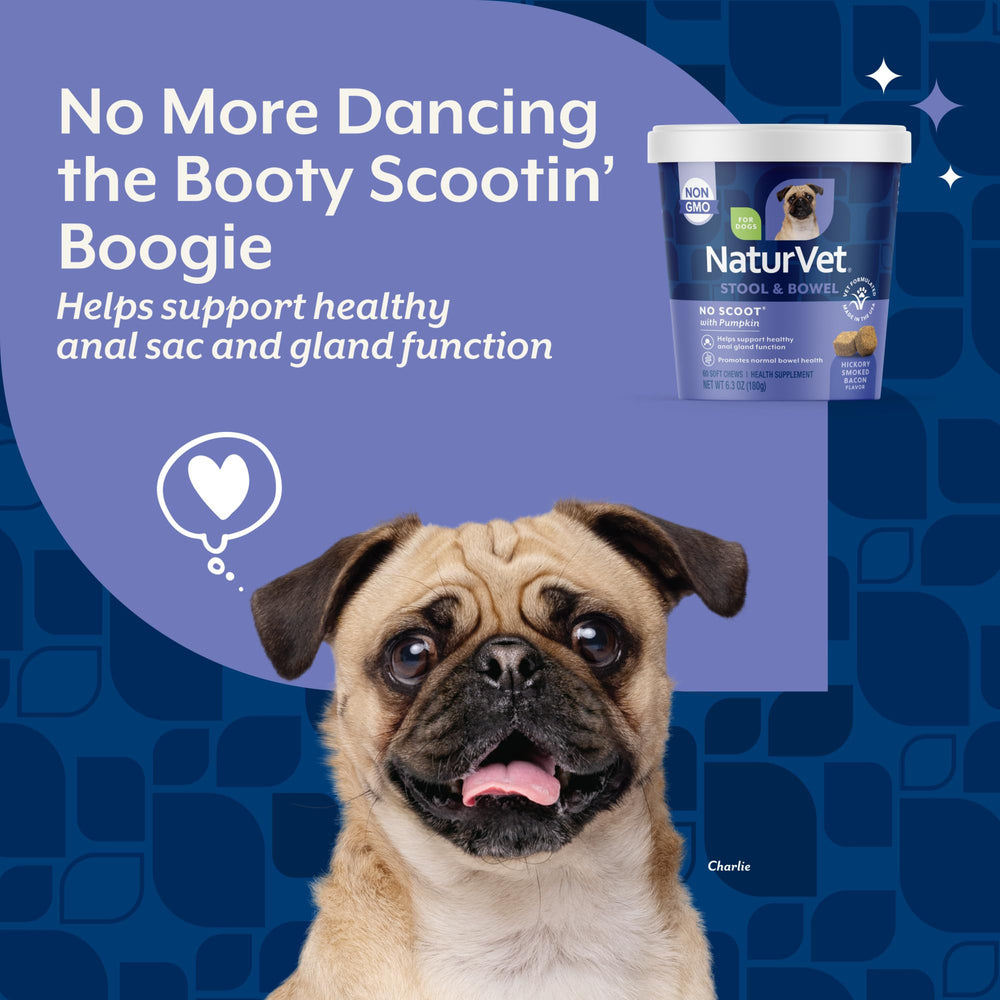 NaturVet No Scoot soft chews aiding digestion in dogs.