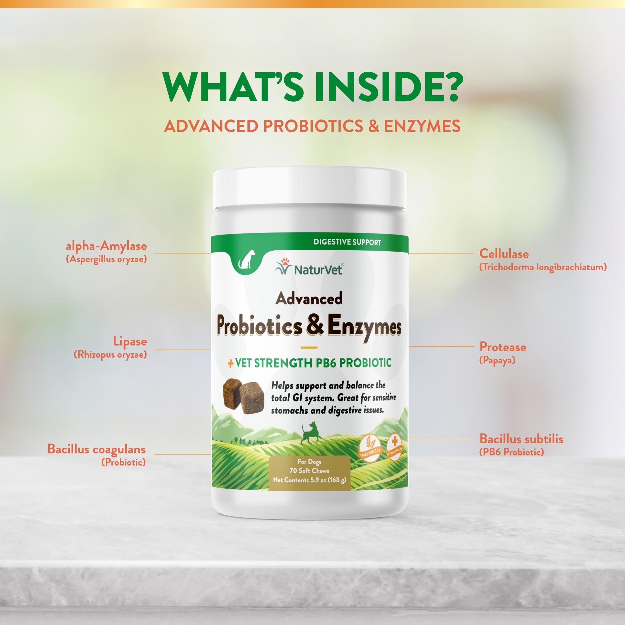 NaturVet PB6 close-up showcases enzymes like alpha-Amylase and Lipase for digestion.