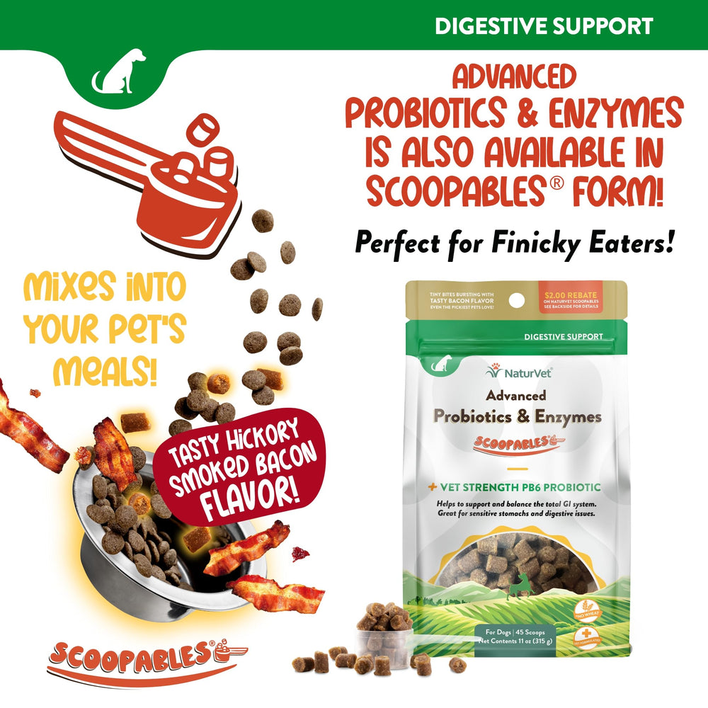 NaturVet PB6 bottle and chews demonstrate palatable, dog-friendly digestive support.