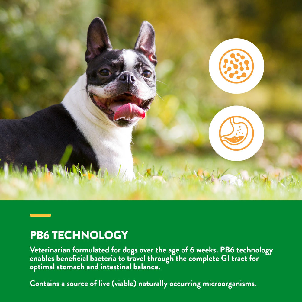 NaturVet PB6 probiotics enzymes bag highlights comprehensive digestive blend.