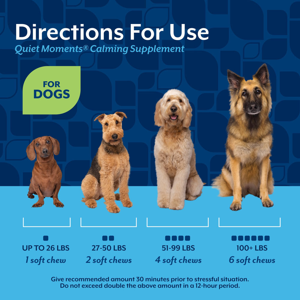 NaturVet Quiet Moments storm scene illustrating calming support during fireworks and storms