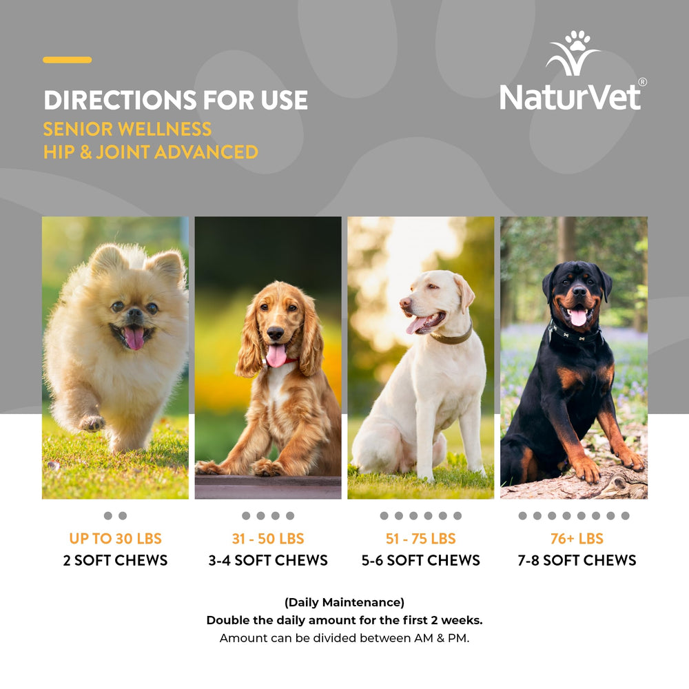 NaturVet Senior Wellness – soutien potentiel lors des balades quotidiennes.
