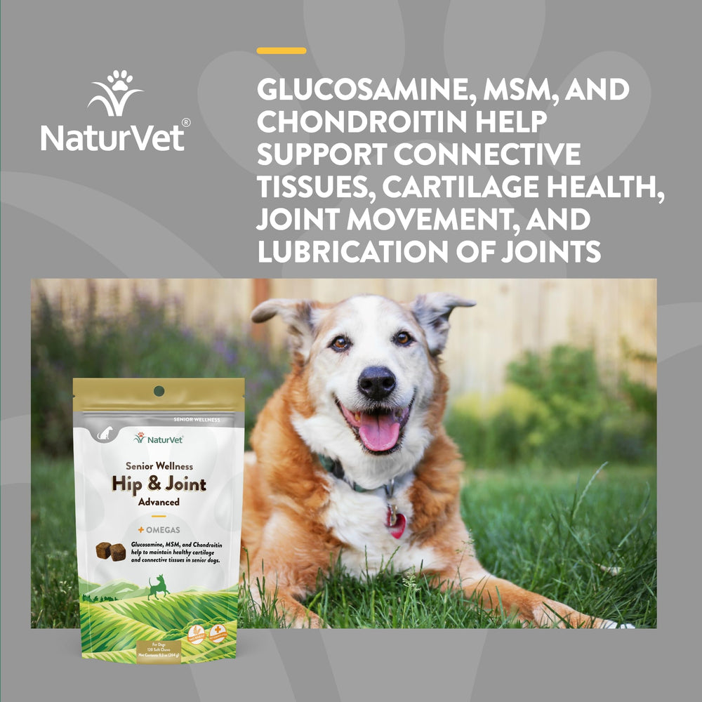 NaturVet Senior Wellness – dosage simple pour le soutien articulaire quotidien.