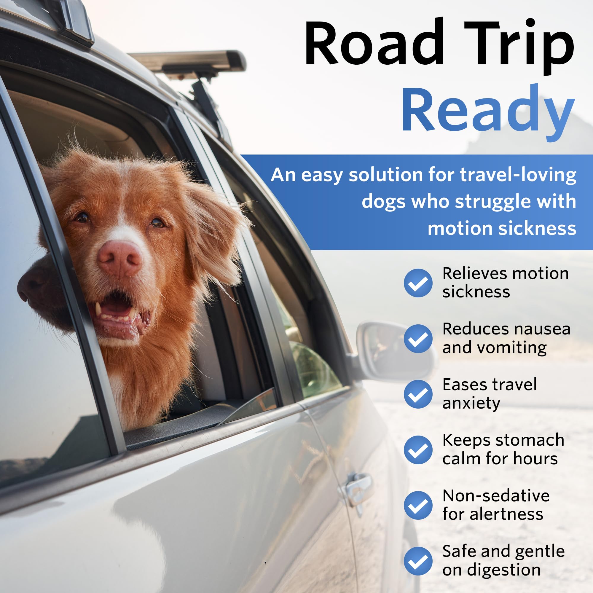 NausX Anti-Motion packaging box highlighting travel scenarios for dogs