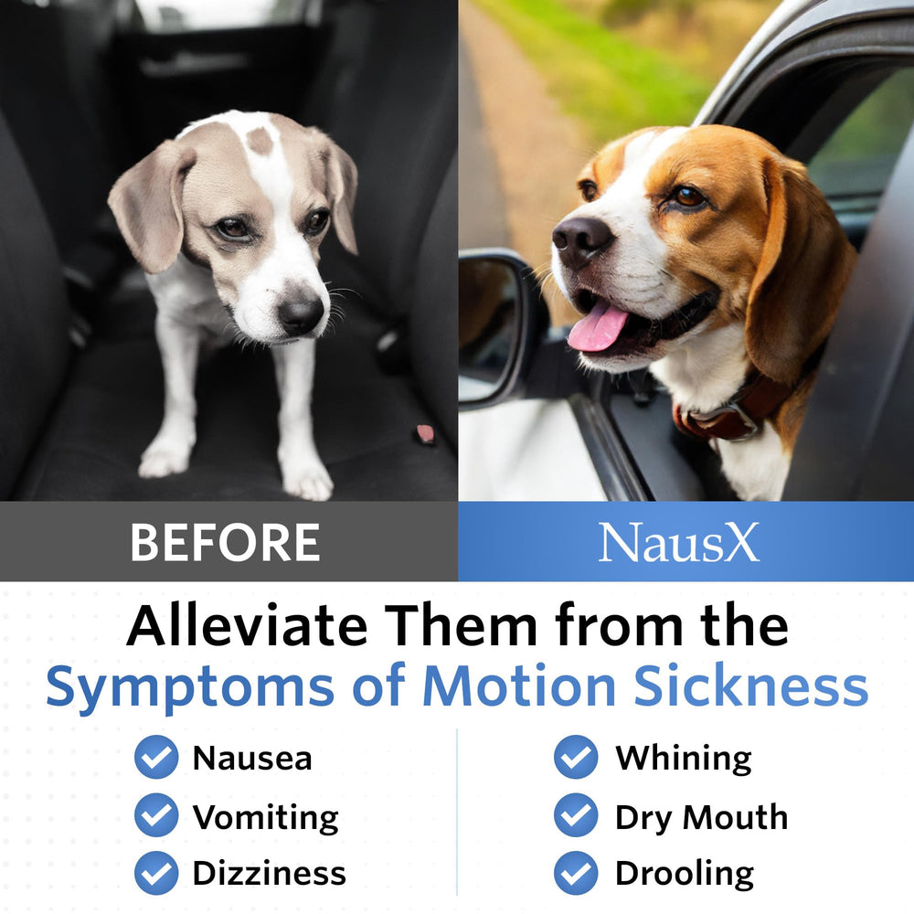 NausX Anti-Motion tablets ready-to-swallow for quick relief
