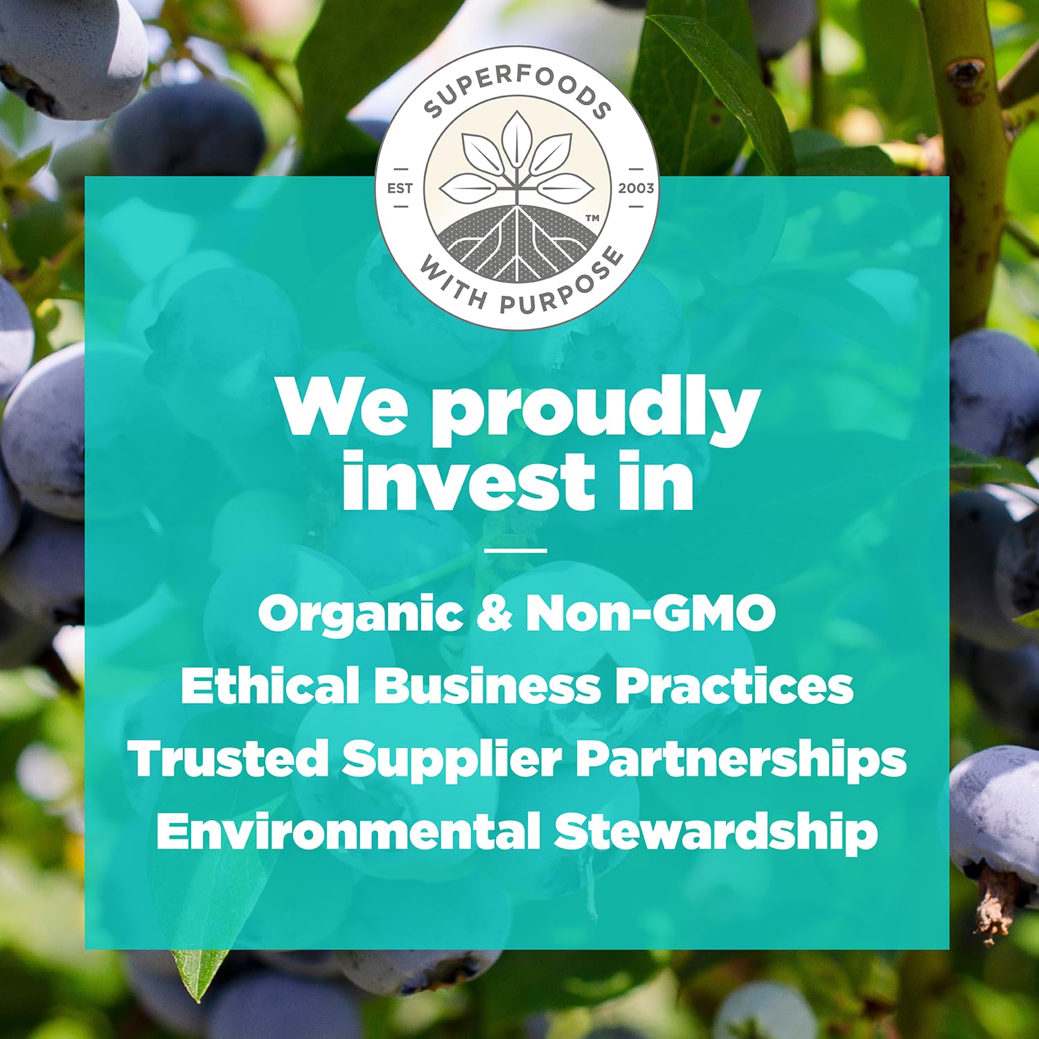 Kids and adults enjoy Navitas Organics Blueberry Hemp Power Snacks.