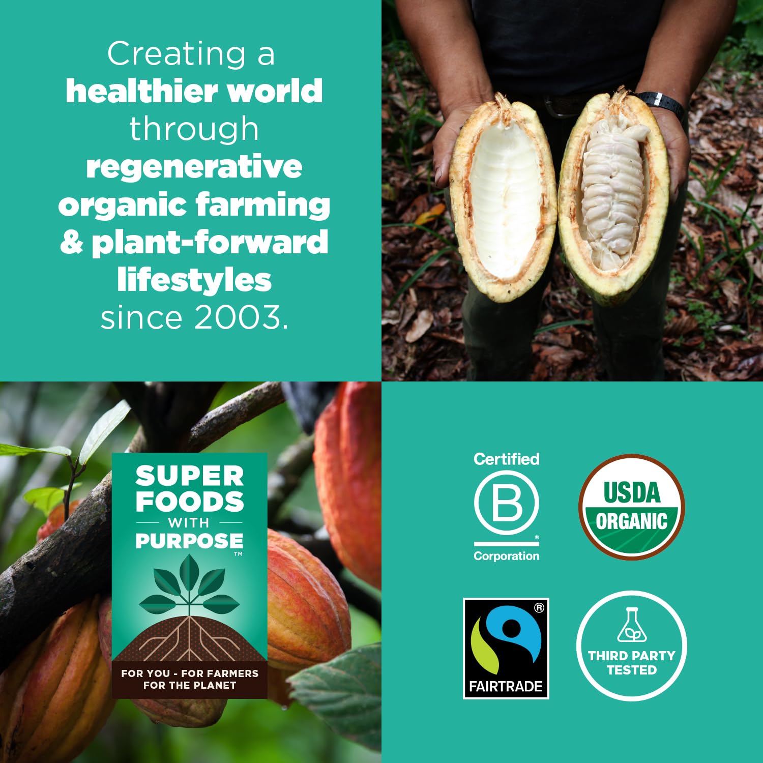 Navitas Organics cacao nibs used in baked goods for rich unsweetened chocolate flavor