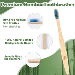 Navona toothbrush with BPA-free soft bristles for gum-friendly brushing