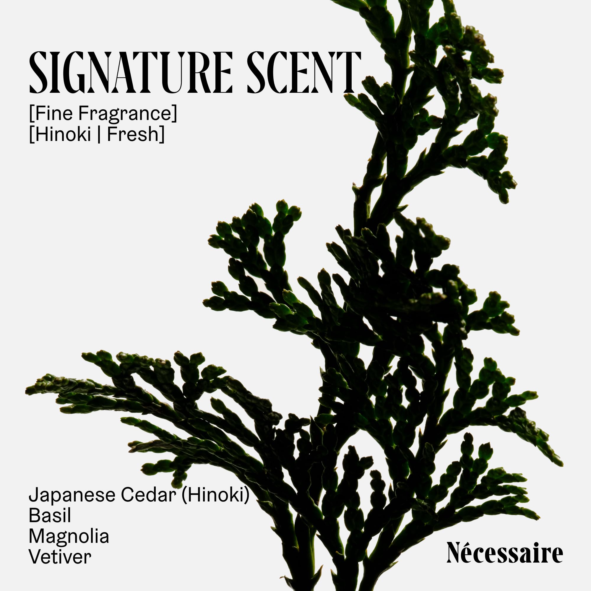 Nécessaire body wash discovery collection ingredients close-up featuring vitamins and niacinamide