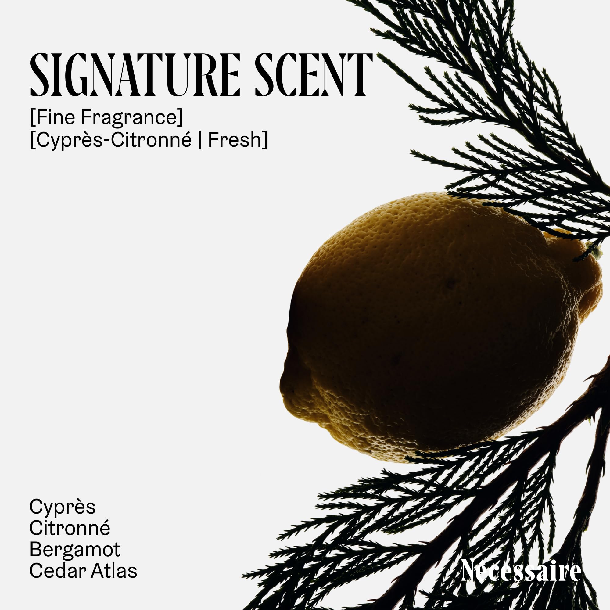 Nécessaire Cypress-Citrus fragrance notes evoke a bright morning shower.