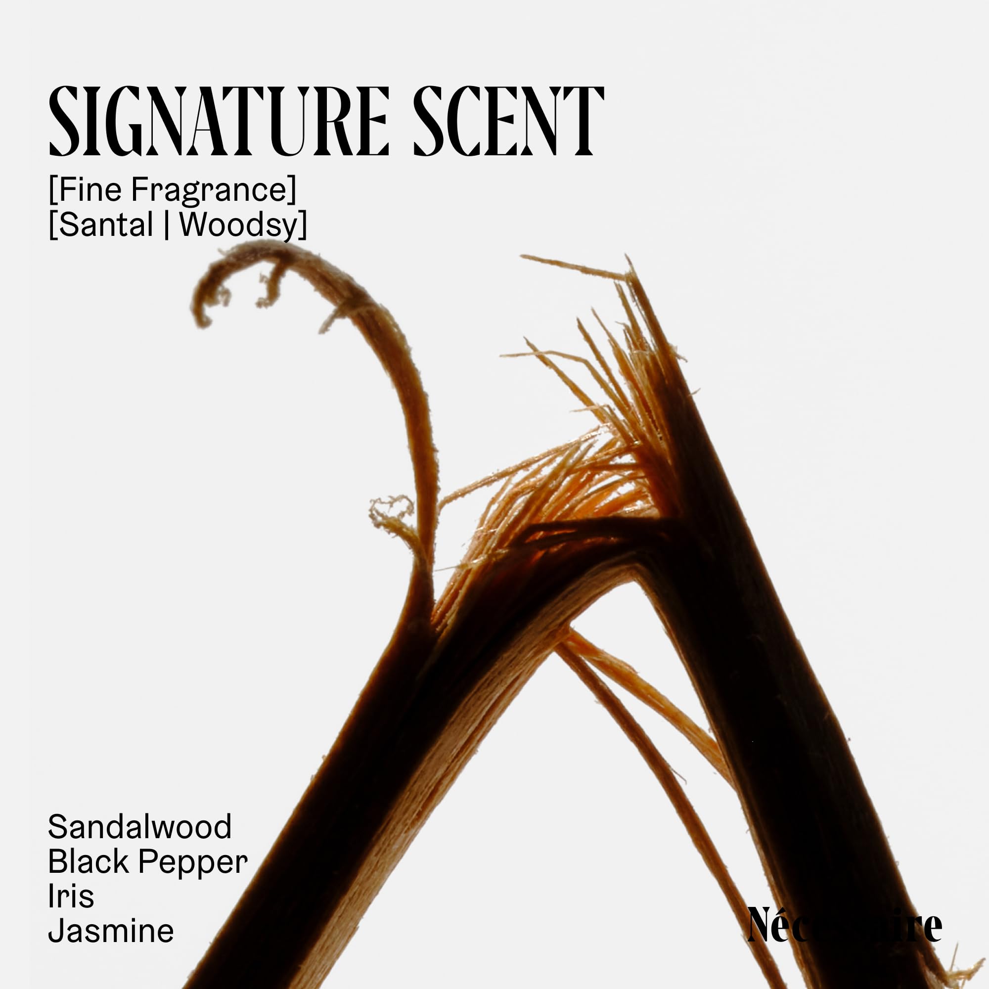 Nécessaire Deodorant Santal fragrance notes image captures sandalwood and jasmine