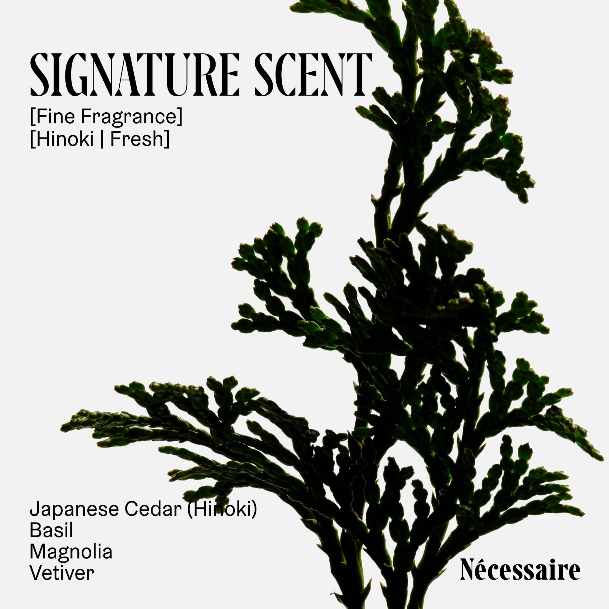 Nécessaire Hinoki lotion contains 2.5% niacinamide for skin care.