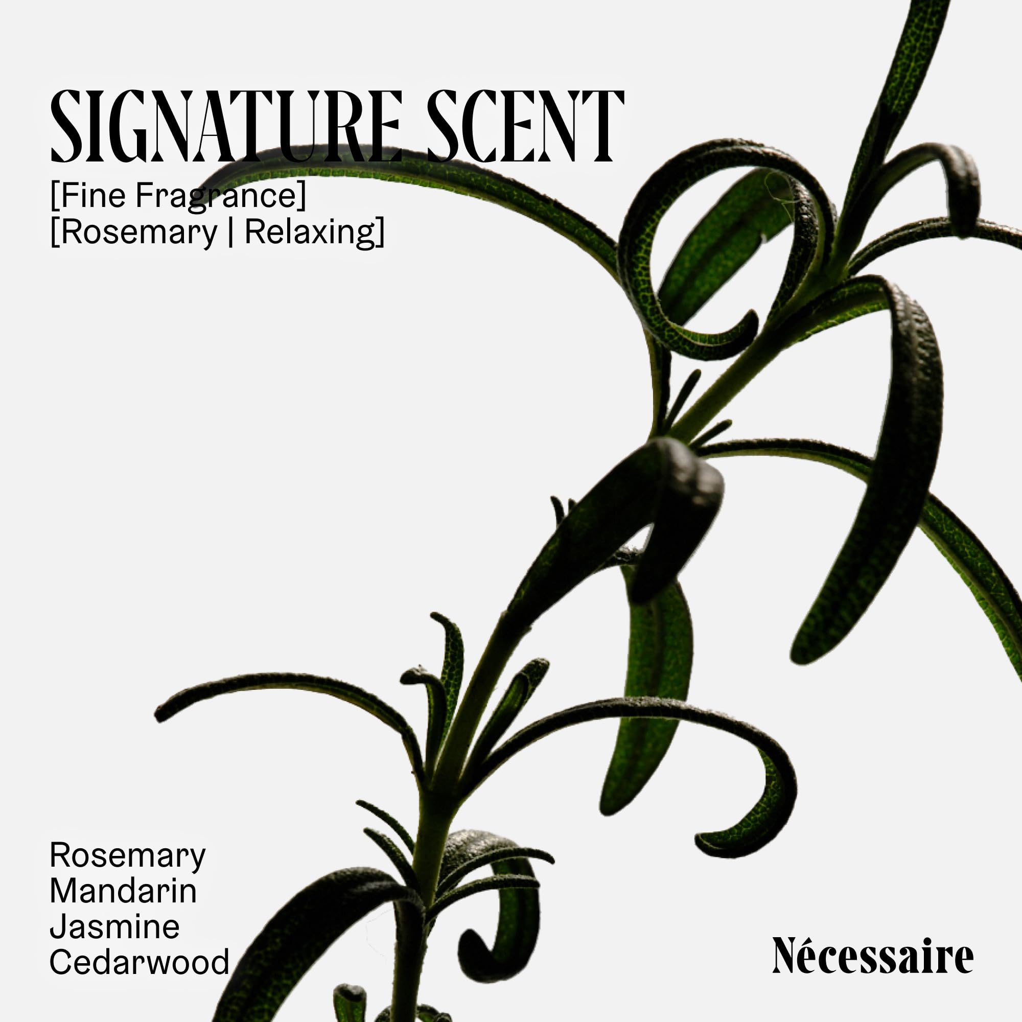 Nécessaire Rosemary Shampoo foam texture shot suggests gentle cleansing and shine.