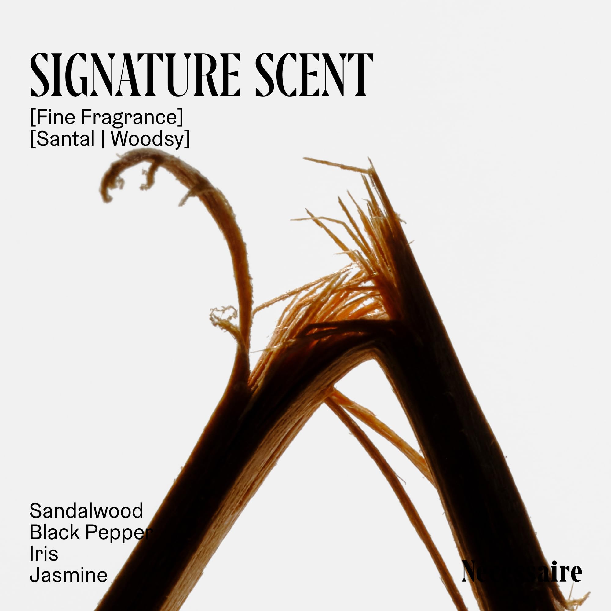 Nécessaire Santal fragrance-notes highlight sandalwood and jasmine.