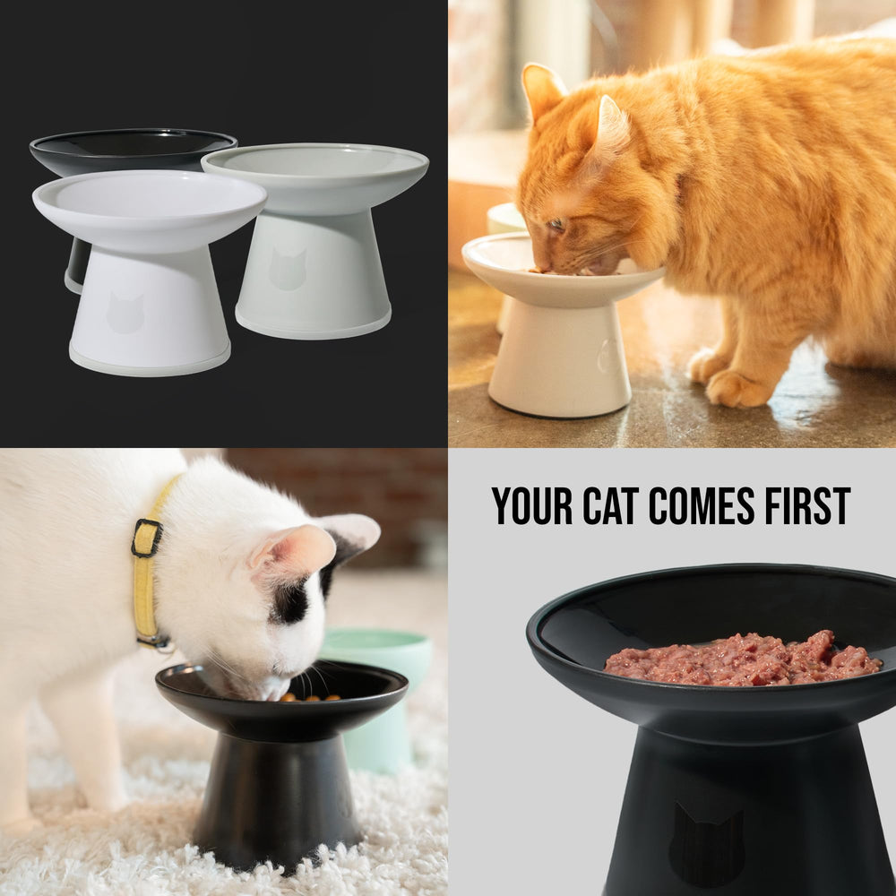 Necoichi design japonais moderne pour une cuisine verte et pratique.