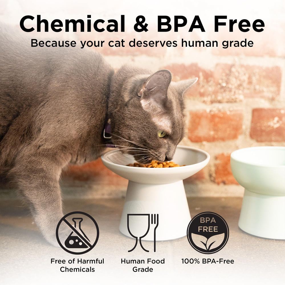 Necoichi assiette chat compatible lave-vaisselle, entretien facile et rapide.