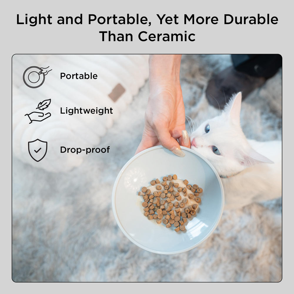 Necoichi assiette chat légère et portable pour les repas à domicile ou en voyage.