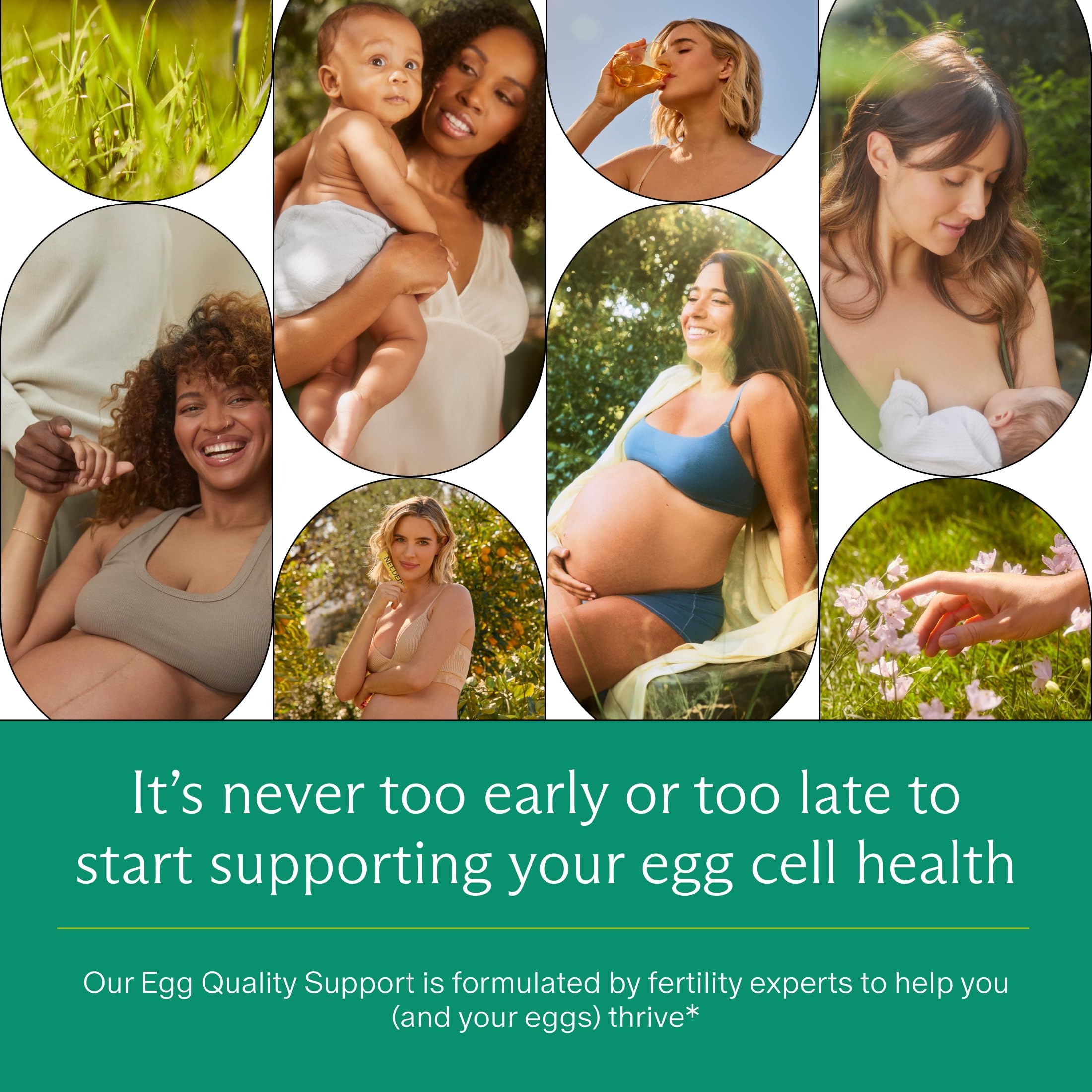 Needed Egg Quality Support label details, clean ingredients and third-party testing.