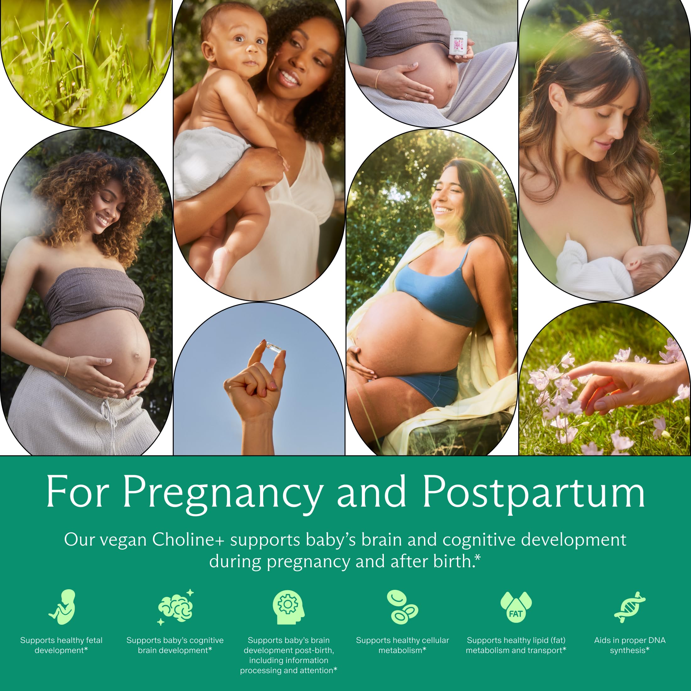 Needed Prenatal Choline+ daily-dose image implies simple daily routine