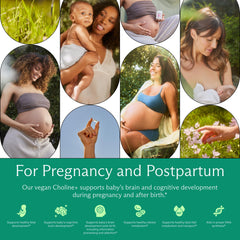 Needed Prenatal Choline+ daily-dose image implies simple daily routine