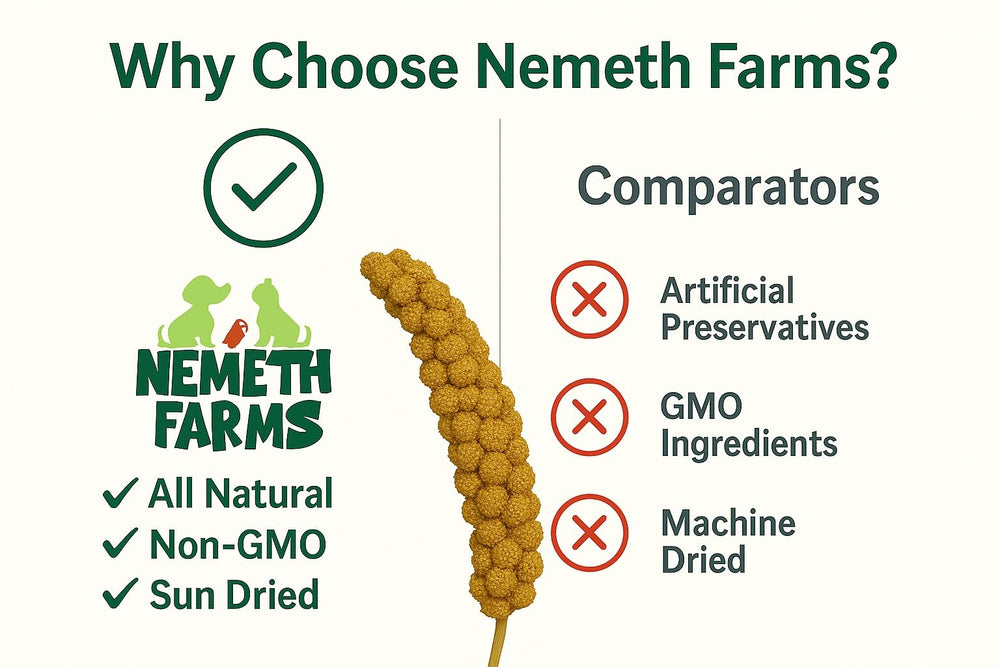 Nemeth Farms exotic-birds enjoying millet spray captures natural curiosity and foraging behavior.