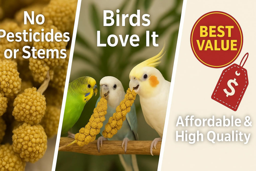 Nemeth Farms US-grown millet spray bird treat highlights farm-fresh quality for cockatiels, conures, and parakeets.