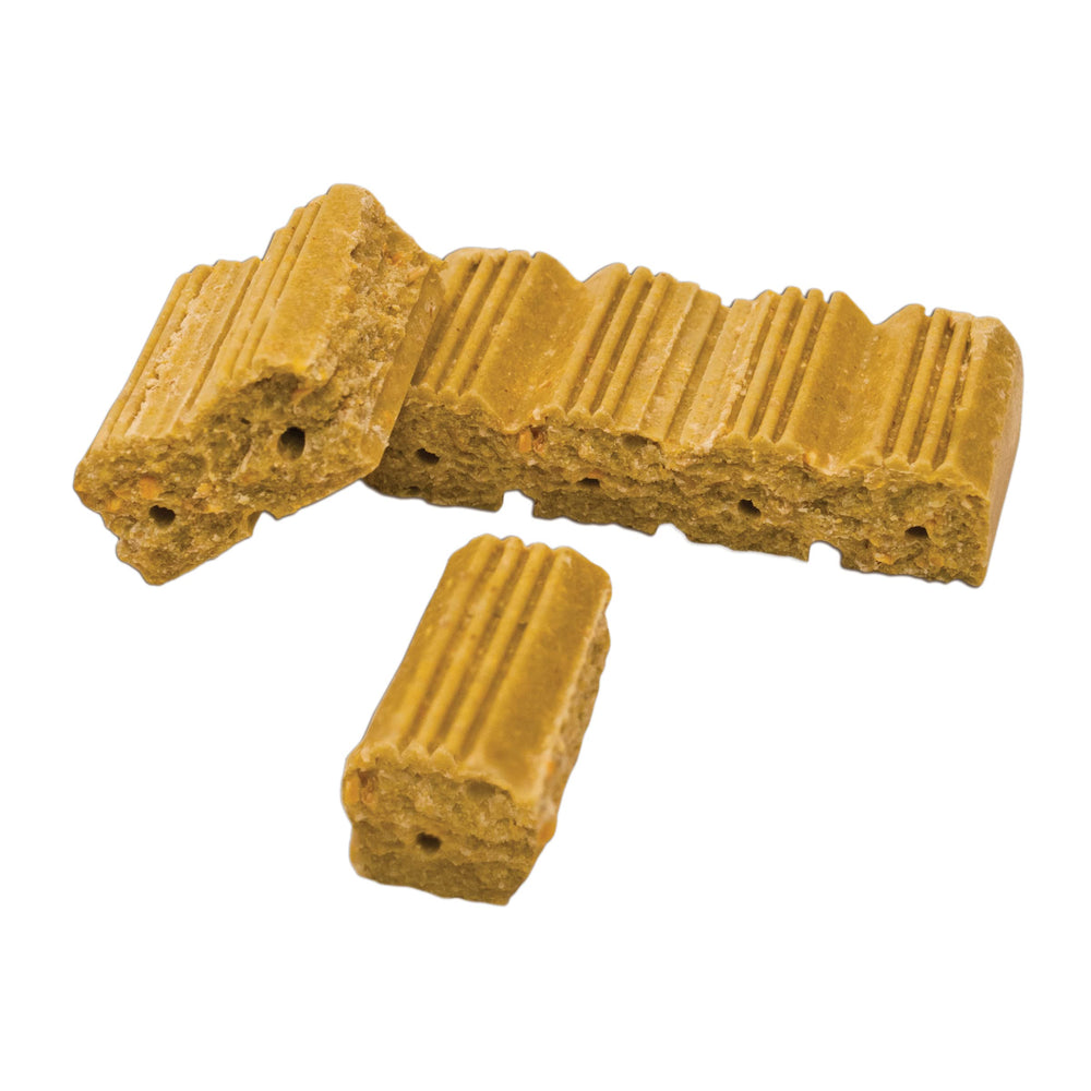 Outdoor areas with Ramik Bars near entryways and bait stations for perimeter control.