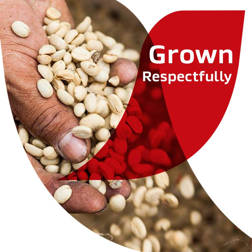 Rich aroma from 100% real beans, ideal with hot water