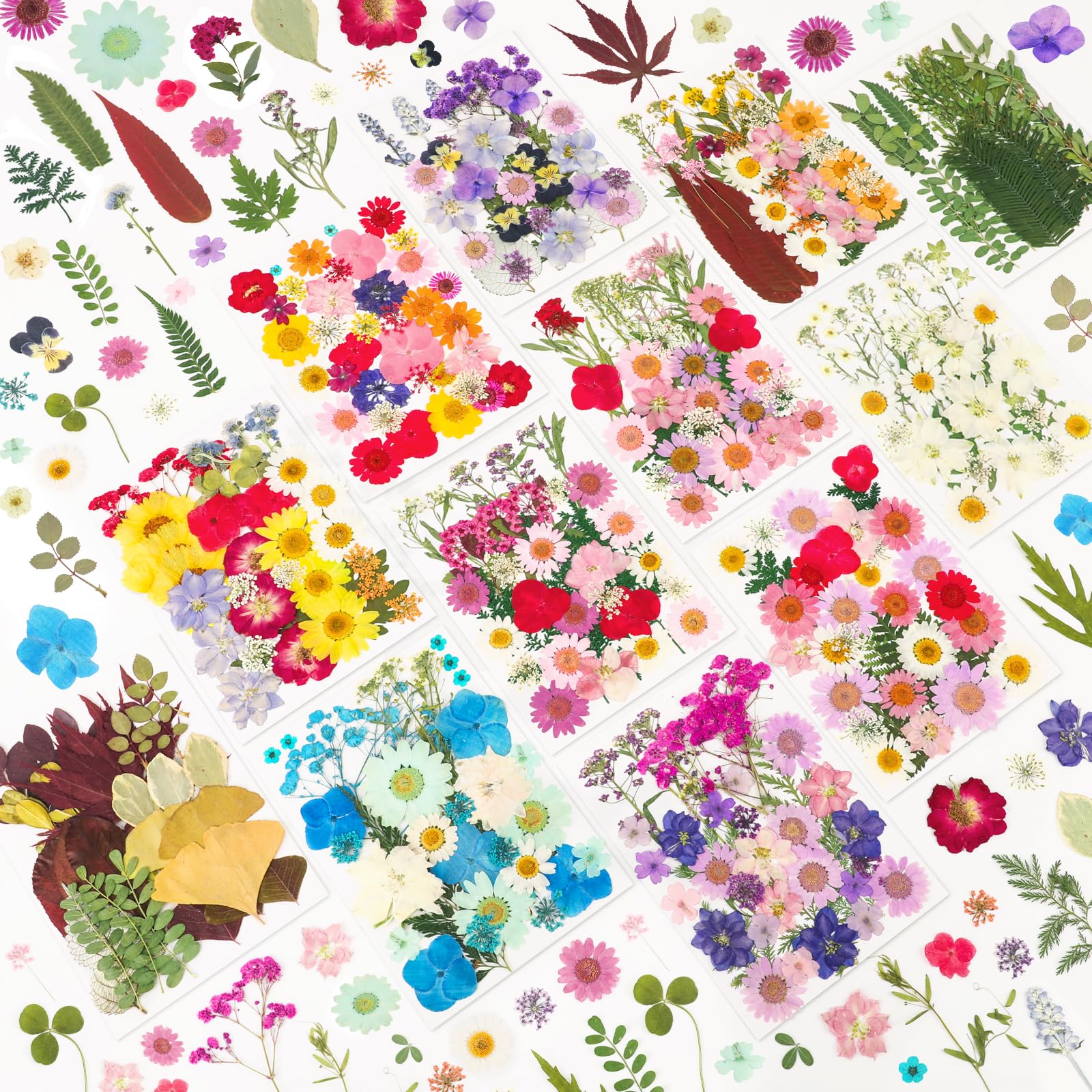 NESCCI 420-piece pressed flowers set for crafts and decor