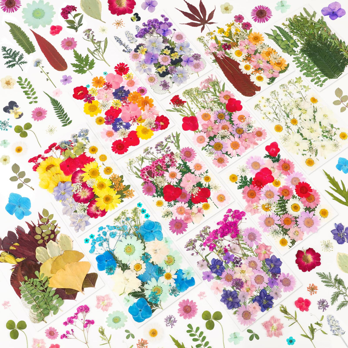 NESCCI 420-piece pressed flowers set for crafts and decor