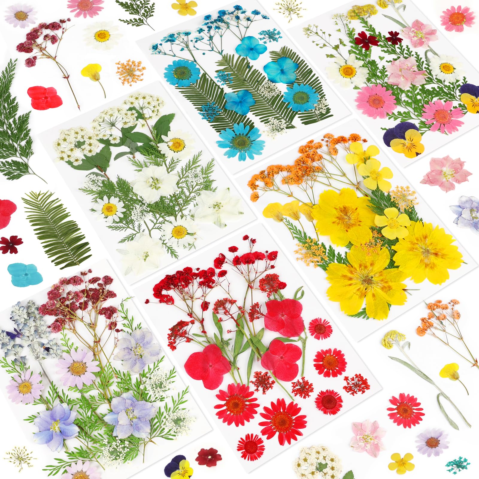 NESCCI dried pressed flowers 103pcs collection for resin crafts and scrapbooking