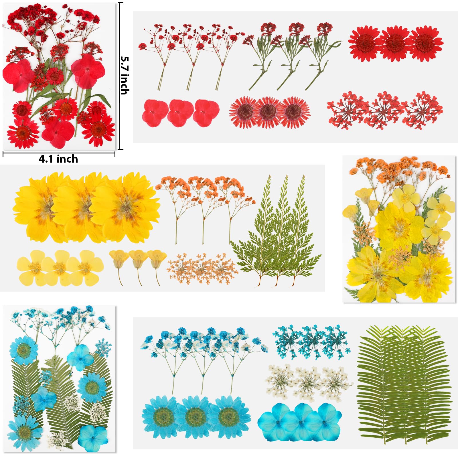 NESCCI packaging vacuum keeps delicate flowers intact during transit