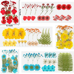 NESCCI packaging vacuum keeps delicate flowers intact during transit