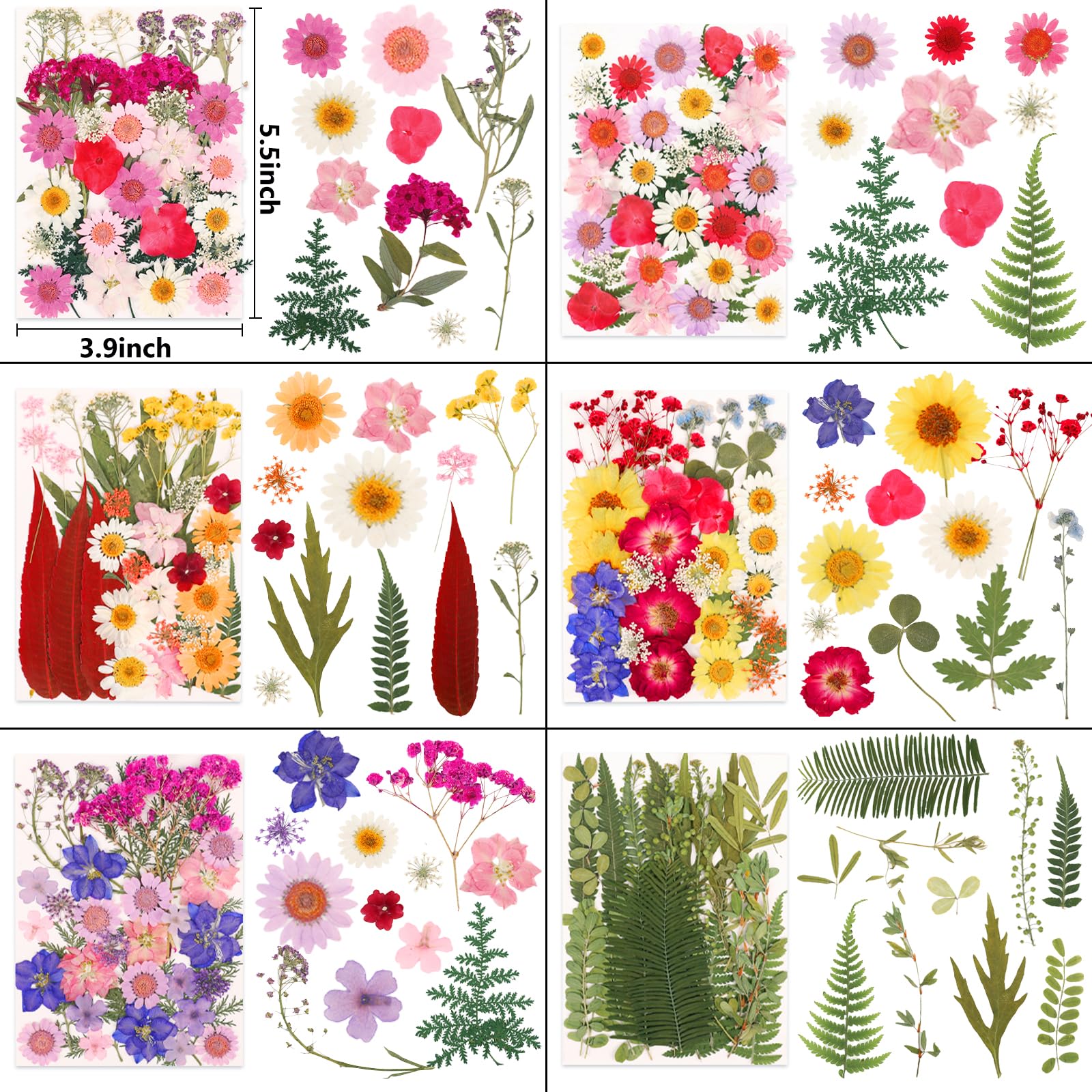 Vacuum-sealed NESCCI packaging protects delicate flowers during shipping