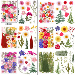 Vacuum-sealed NESCCI packaging protects delicate flowers during shipping